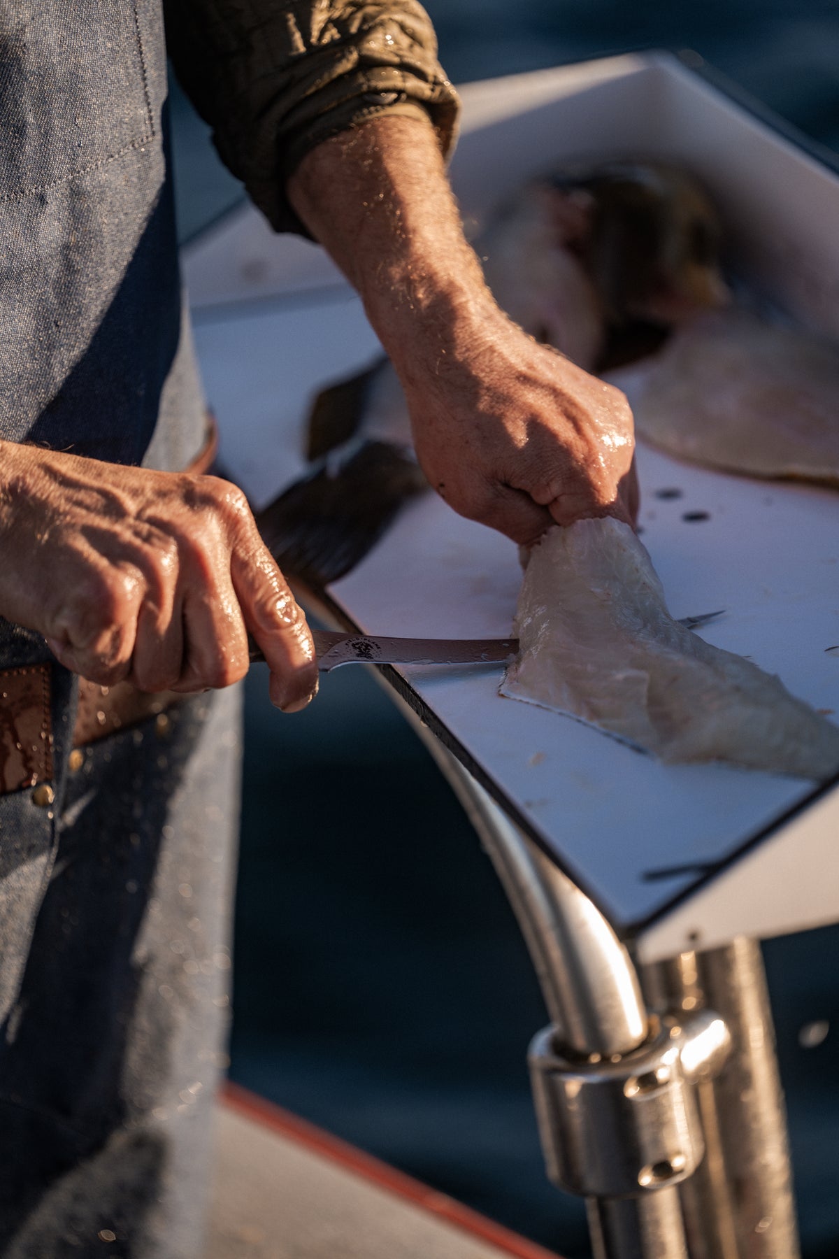 Hands skillfully fillet fish on a boat, knife gliding through flesh, sunlight casting shadows on the cutting board.
