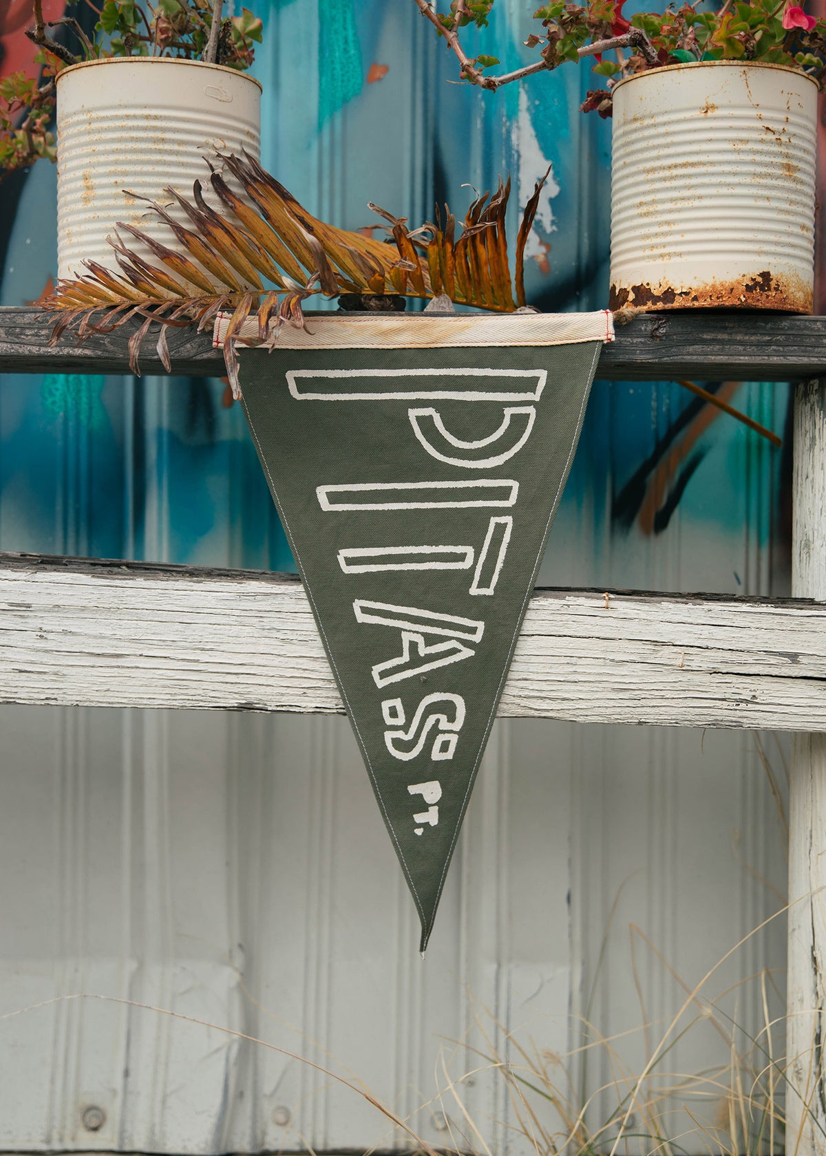 A green pennant with "PTAS" hangs on a rustic shelf, flanked by potted plants in weathered cans, against a colorful wall.